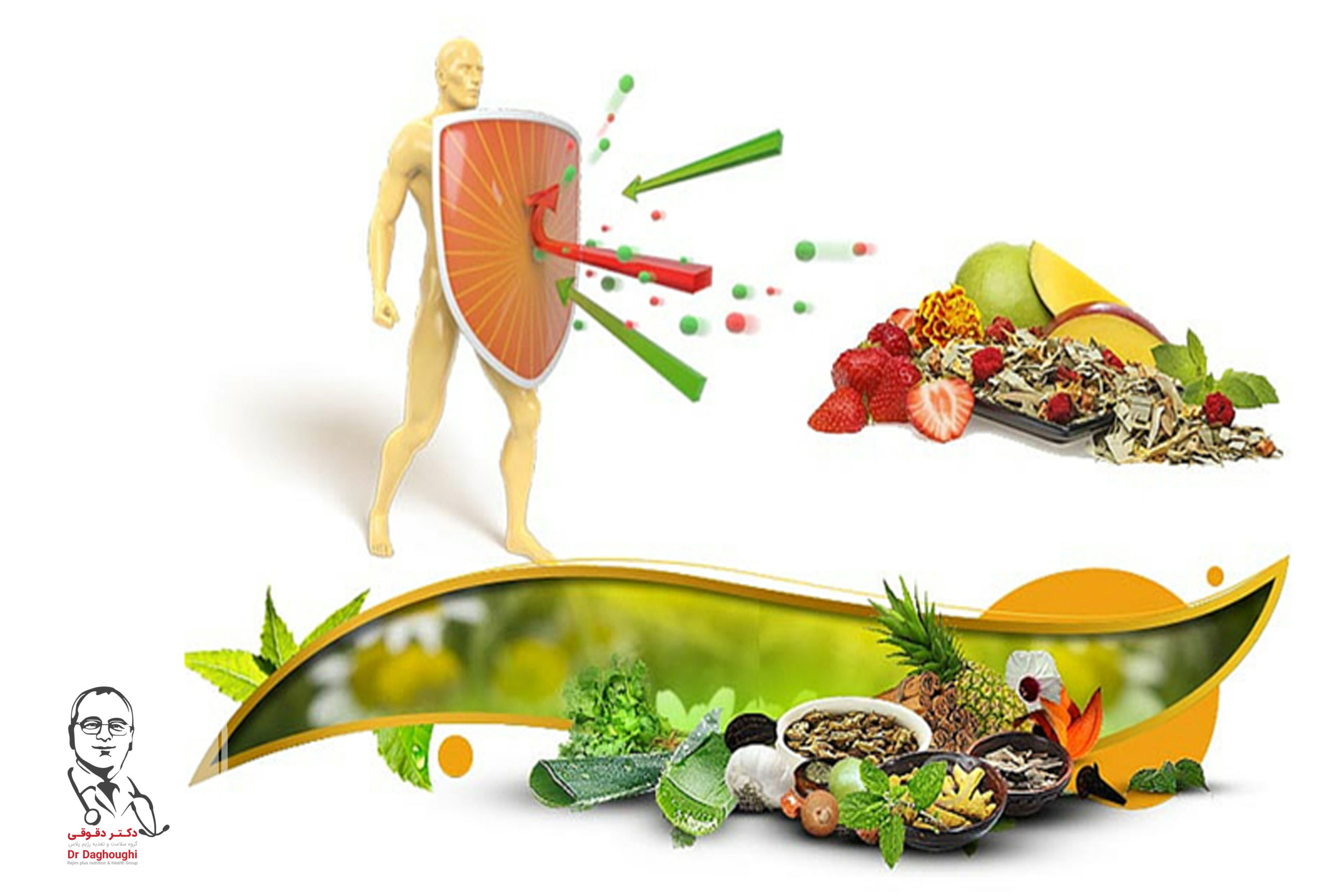 تاثیر رژیم غذایی بر سیستم ایمنی بدن